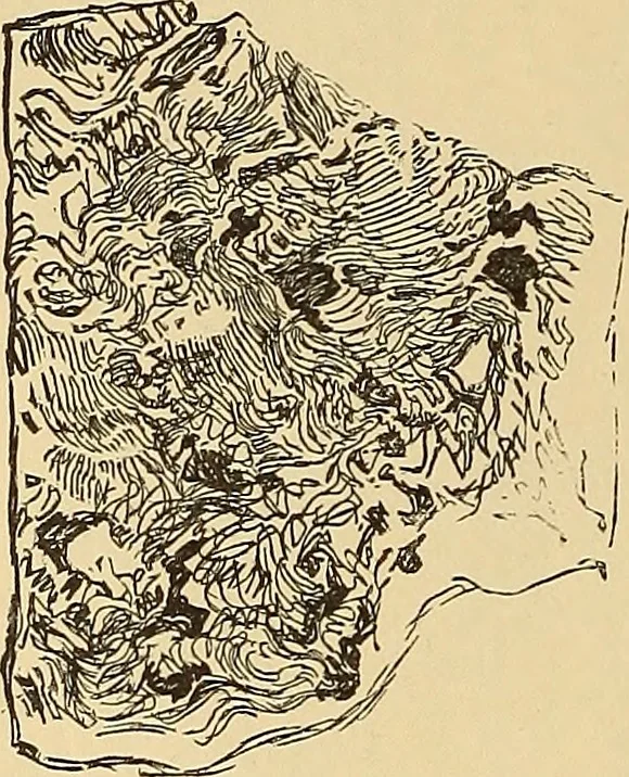 An illustration from American art and American art collections; essays on artistic subjects, 1889, leaf 107