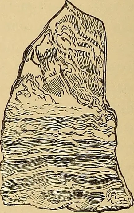 An illustration from American art and American art collections; essays on artistic subjects, 1889, leaf 107
