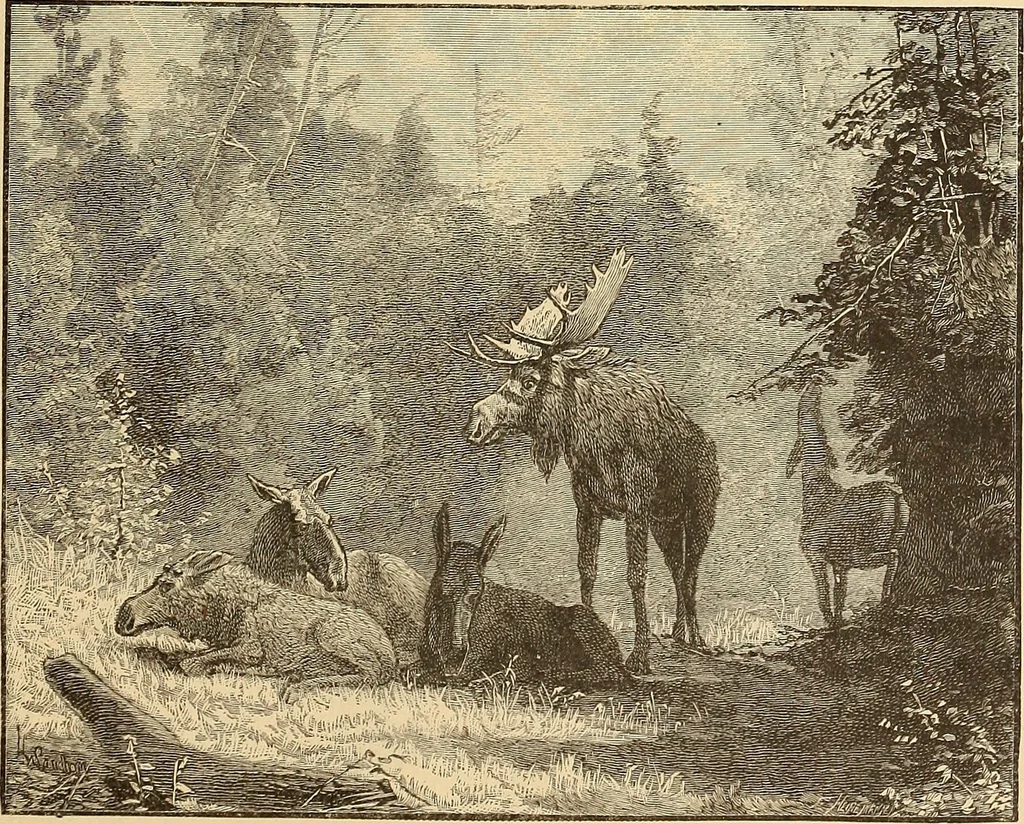 An illustration from American art and American art collections; essays on artistic subjects, 1889, leaf 122