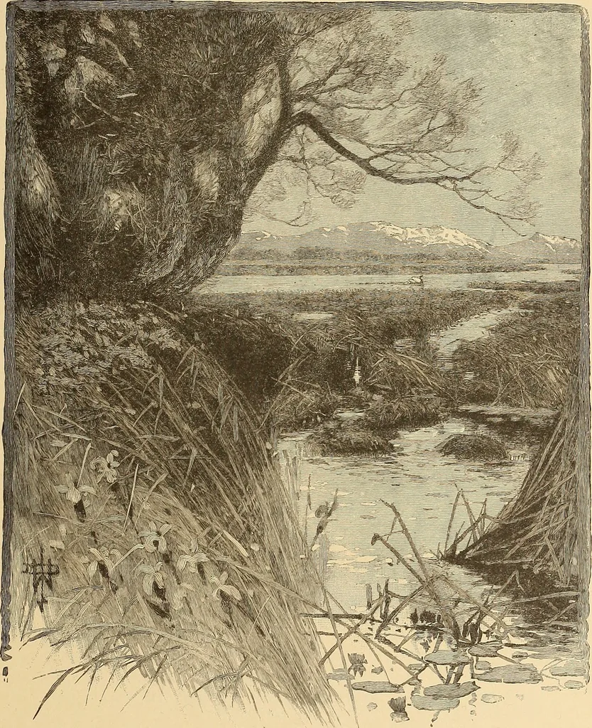 An illustration from American art and American art collections; essays on artistic subjects, 1889, leaf 140