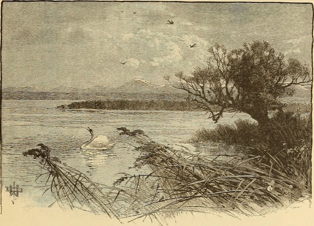 An illustration from American art and American art collections; essays on artistic subjects, 1889, leaf 142