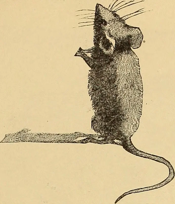 An illustration from American art and American art collections; essays on artistic subjects, 1889, leaf 18