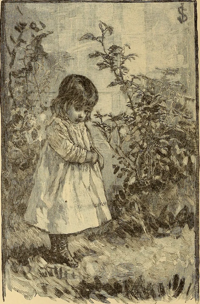 An illustration from American art and American art collections; essays on artistic subjects, 1889, leaf 231