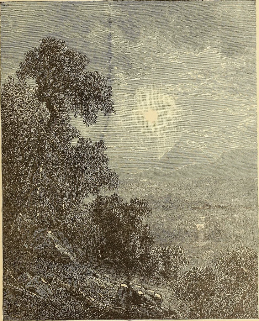 An illustration from American art and American art collections; essays on artistic subjects, 1889, leaf 242