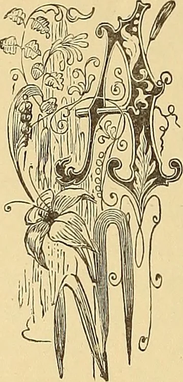 An illustration from American art and American art collections; essays on artistic subjects, 1889, leaf 245