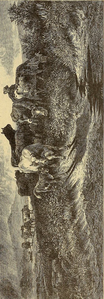An illustration from American art and American art collections; essays on artistic subjects, 1889, leaf 250
