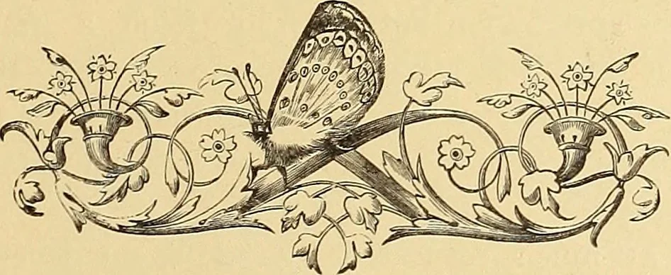 An illustration from American art and American art collections; essays on artistic subjects, 1889, leaf 252