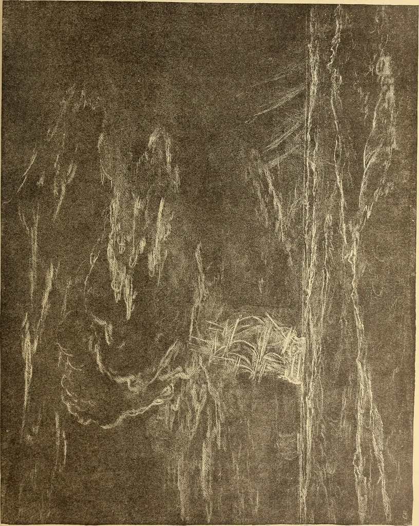 An illustration from American art and American art collections; essays on artistic subjects, 1889, leaf 270