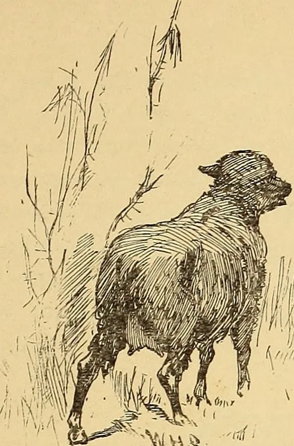An illustration from American art and American art collections; essays on artistic subjects, 1889, leaf 302