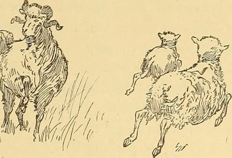 An illustration from American art and American art collections; essays on artistic subjects, 1889, leaf 302