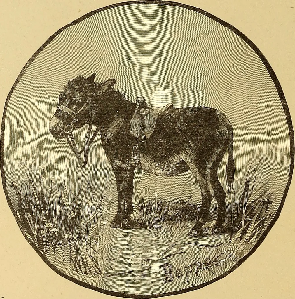 An illustration from American art and American art collections; essays on artistic subjects, 1889, leaf 309