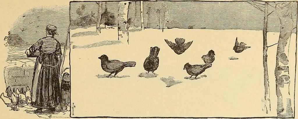 An illustration from American art and American art collections; essays on artistic subjects, 1889, leaf 310