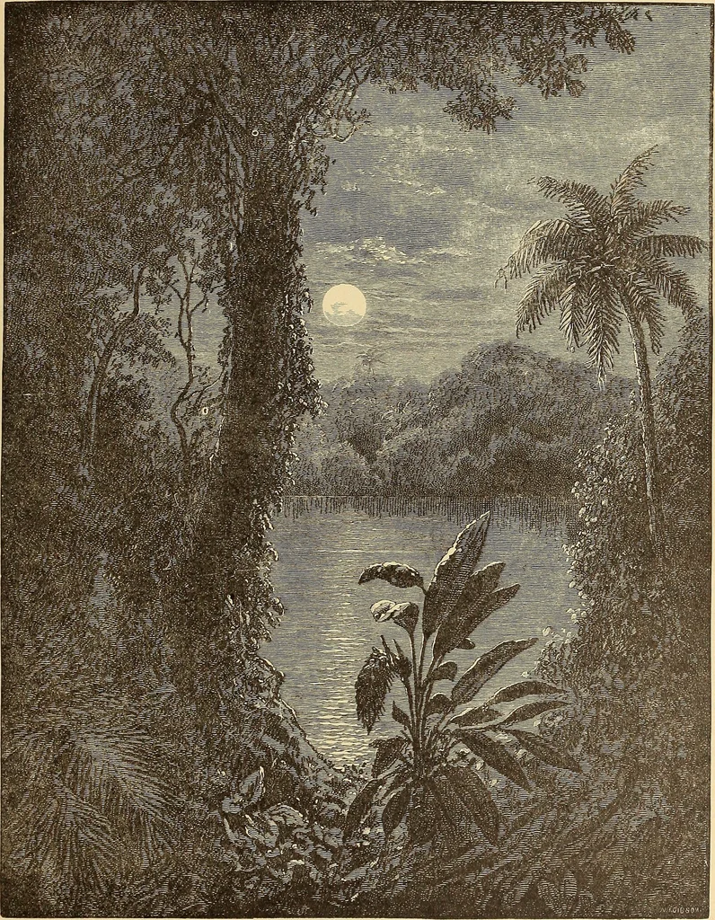 An illustration from American art and American art collections; essays on artistic subjects, 1889, leaf 326