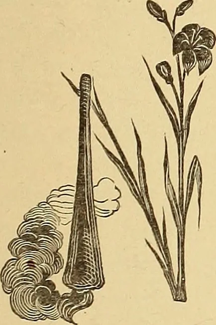 An illustration from American art and American art collections; essays on artistic subjects, 1889, leaf 332
