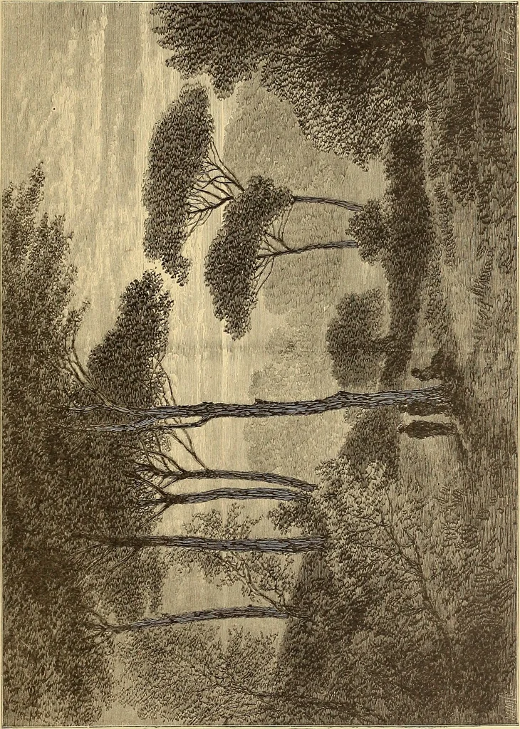 An illustration from American art and American art collections; essays on artistic subjects, 1889, leaf 334