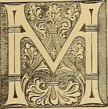 An illustration from American art and American art collections; essays on artistic subjects, 1889, leaf 344