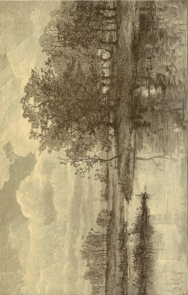 An illustration from American art and American art collections; essays on artistic subjects, 1889, leaf 348