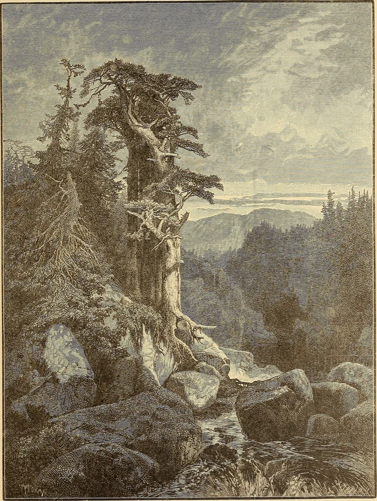 An illustration from American art and American art collections; essays on artistic subjects, 1889, leaf 356