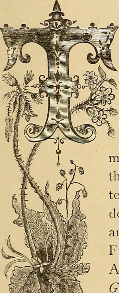 An illustration from American art and American art collections; essays on artistic subjects, 1889, leaf 360
