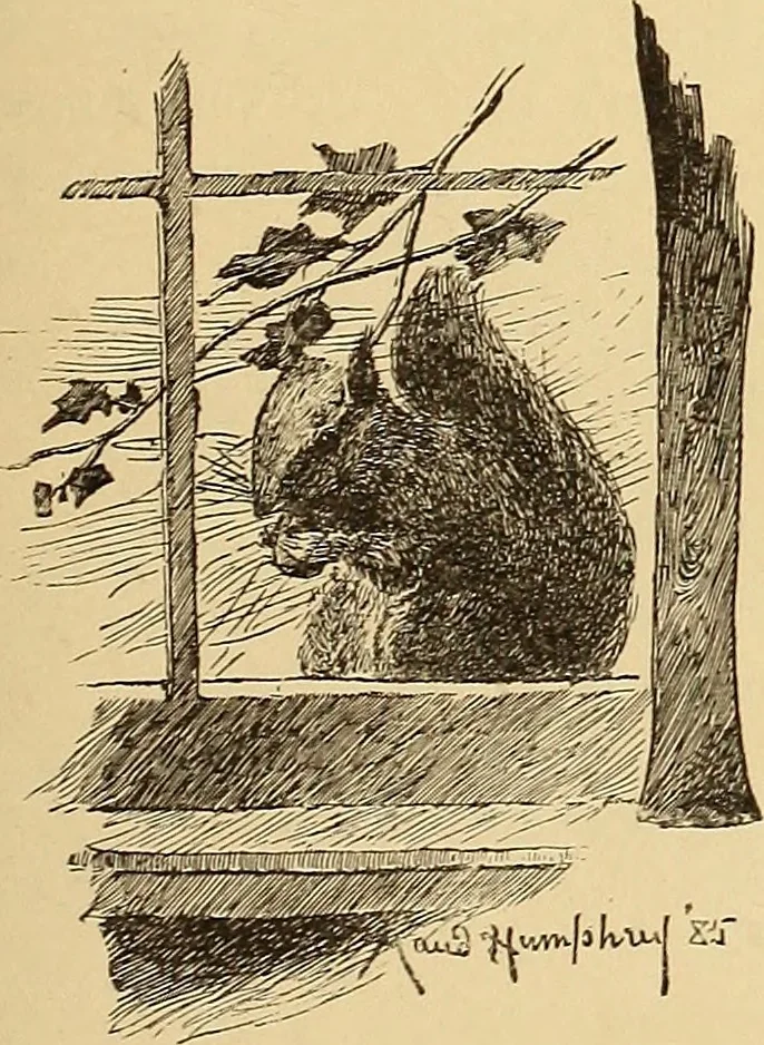 An illustration from American art and American art collections; essays on artistic subjects, 1889, leaf 38