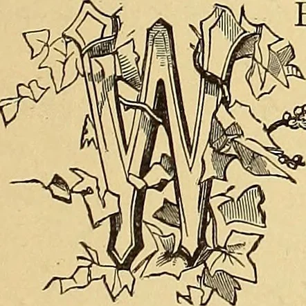 An illustration from American art and American art collections; essays on artistic subjects, 1889, leaf 402