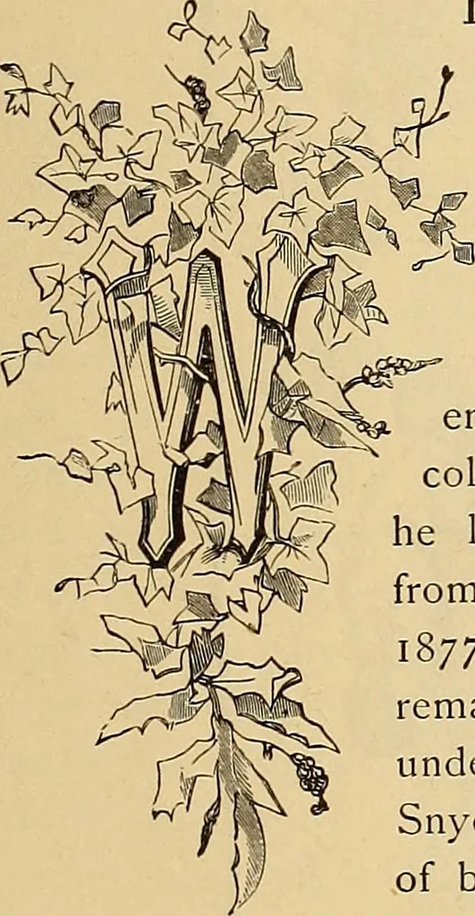 An illustration from American art and American art collections; essays on artistic subjects, 1889, leaf 434