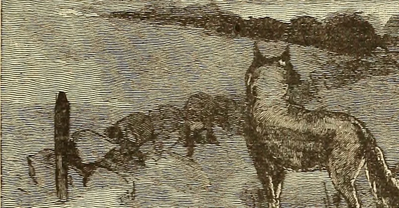 An illustration from American art and American art collections; essays on artistic subjects, 1889, leaf 444