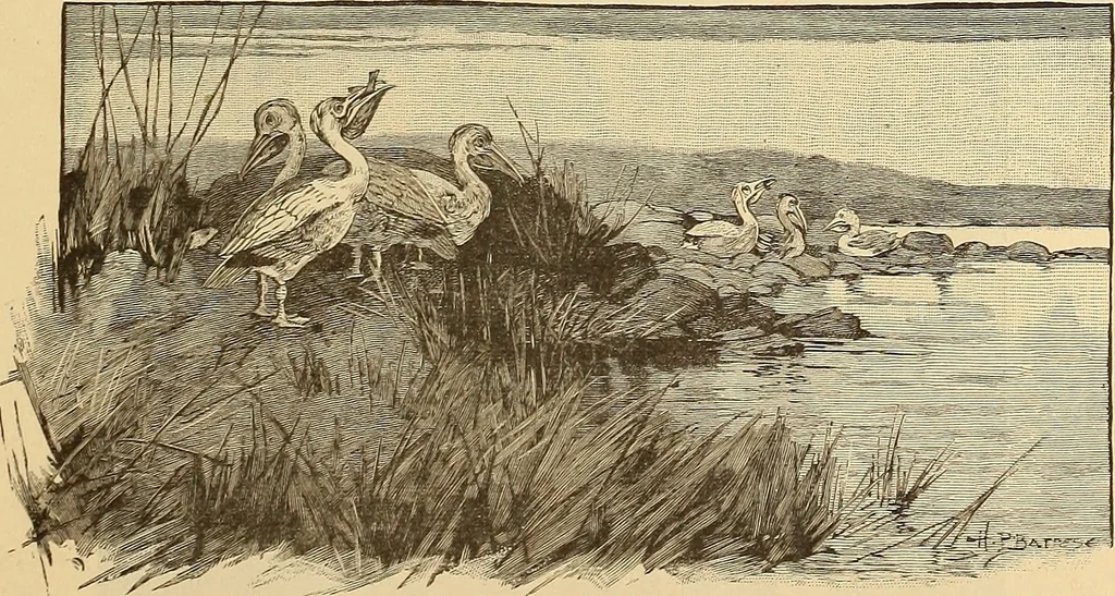 An illustration from American art and American art collections; essays on artistic subjects, 1889, leaf 444