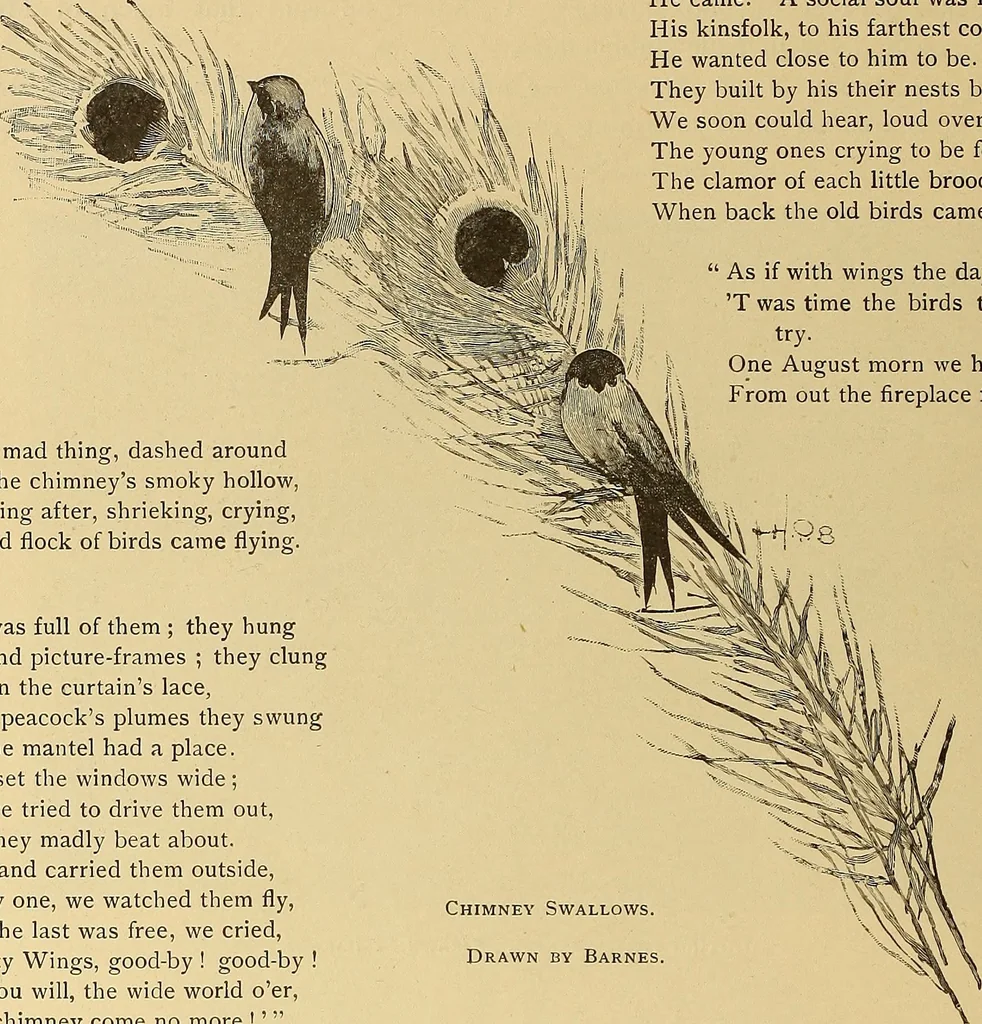 An illustration from American art and American art collections; essays on artistic subjects, 1889, leaf 445