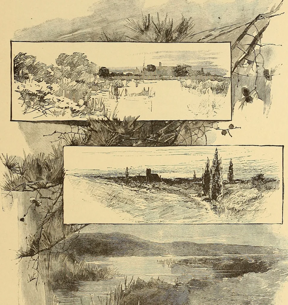 An illustration from American art and American art collections; essays on artistic subjects, 1889, leaf 446