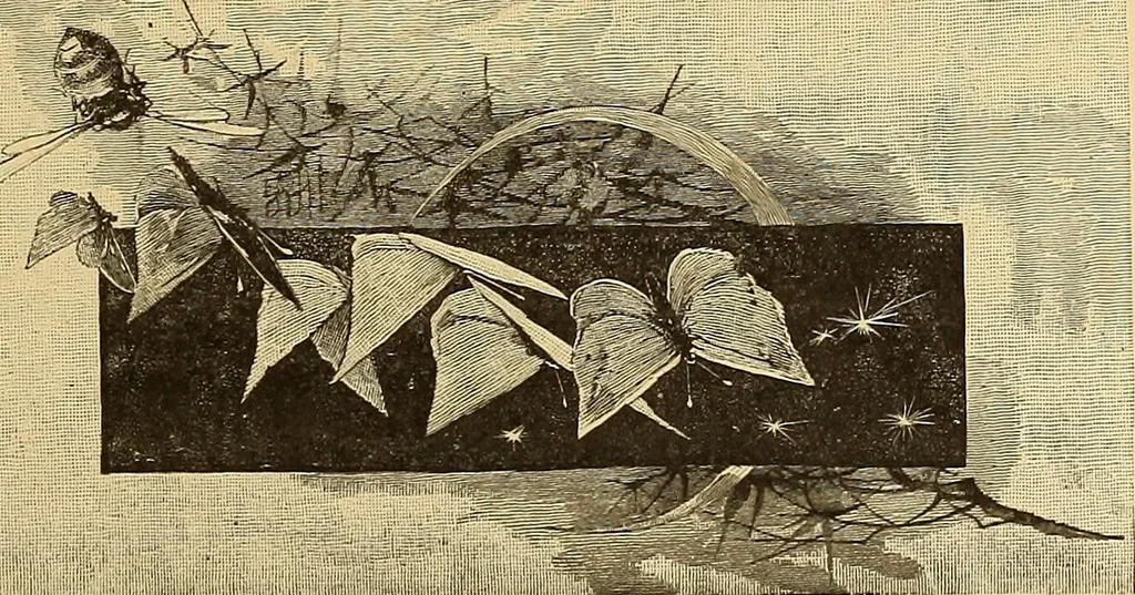 An illustration from American art and American art collections; essays on artistic subjects, 1889, leaf 449
