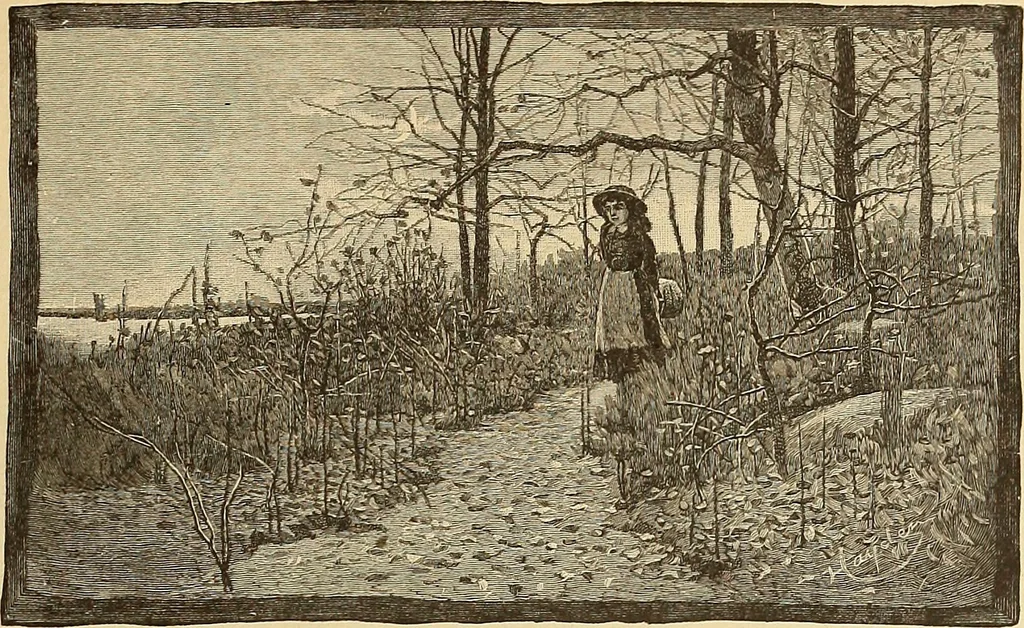 An illustration from American art and American art collections; essays on artistic subjects, 1889, leaf 450