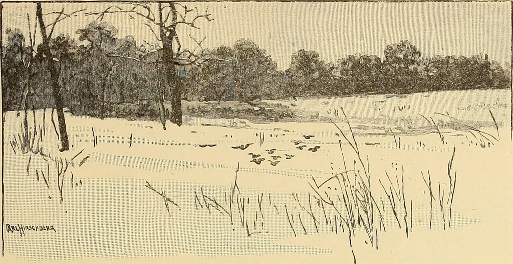 An illustration from American art and American art collections; essays on artistic subjects, 1889, leaf 462