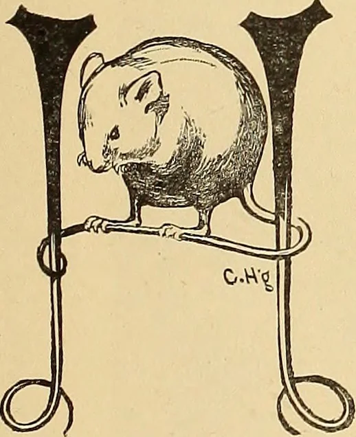 An illustration from American art and American art collections; essays on artistic subjects, 1889, leaf 462