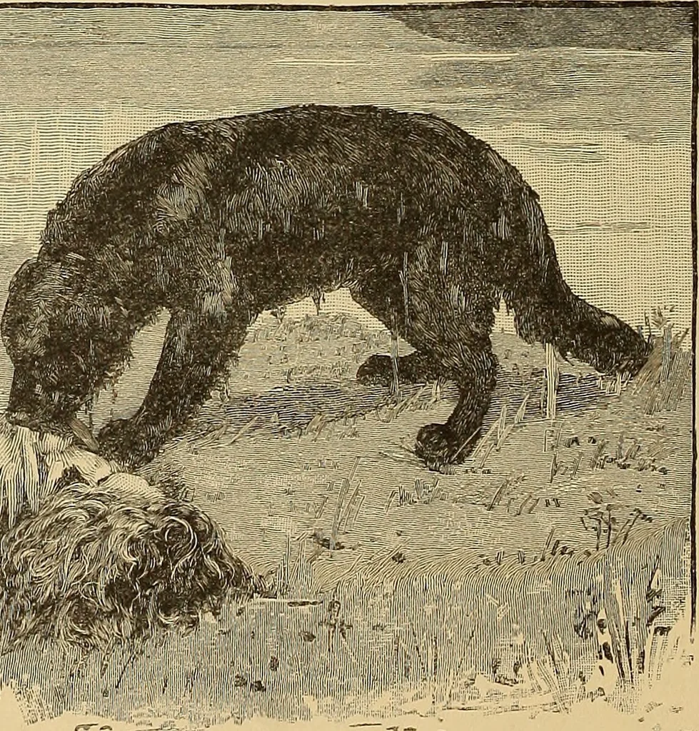 An illustration from American art and American art collections; essays on artistic subjects, 1889, leaf 465