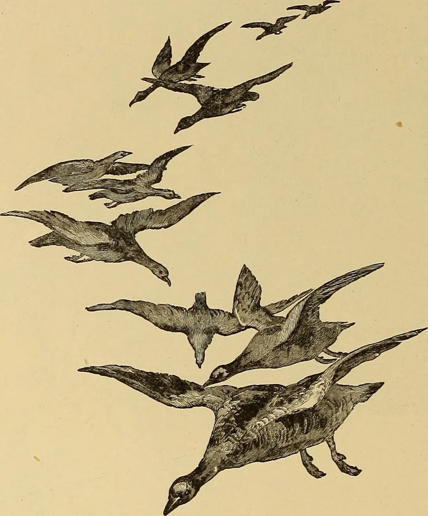 An illustration from American art and American art collections; essays on artistic subjects, 1889, leaf 467
