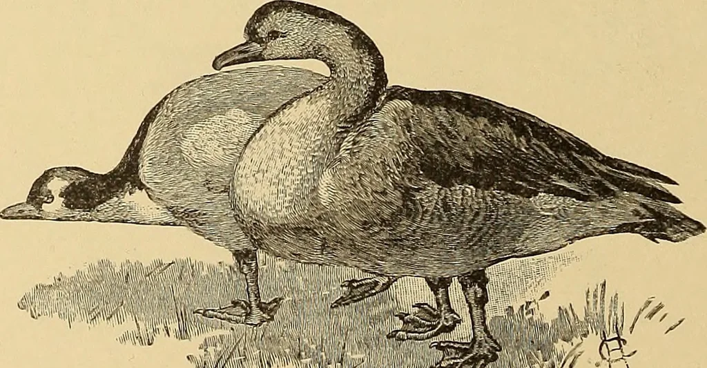 An illustration from American art and American art collections; essays on artistic subjects, 1889, leaf 467