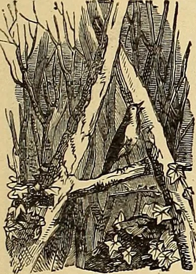 An illustration from American art and American art collections; essays on artistic subjects, 1889, leaf 488