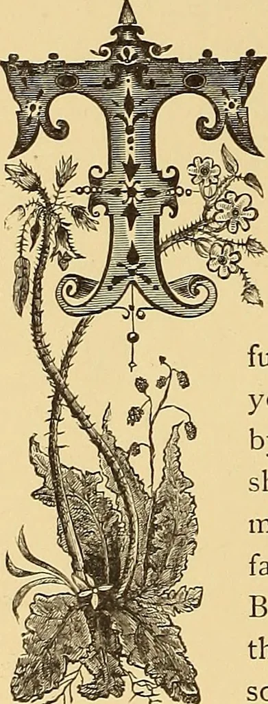 An illustration from American art and American art collections; essays on artistic subjects, 1889, leaf 493
