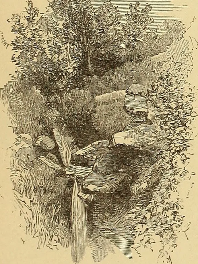 An illustration from American art and American art collections; essays on artistic subjects, 1889, leaf 502