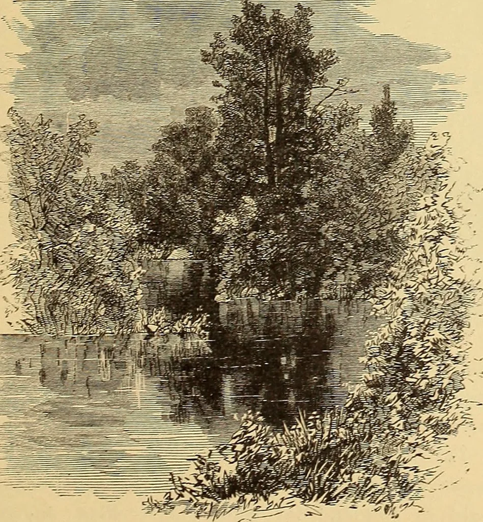 An illustration from American art and American art collections; essays on artistic subjects, 1889, leaf 506