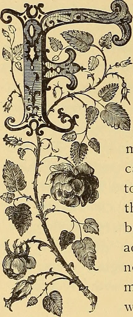 An illustration from American art and American art collections; essays on artistic subjects, 1889, leaf 513