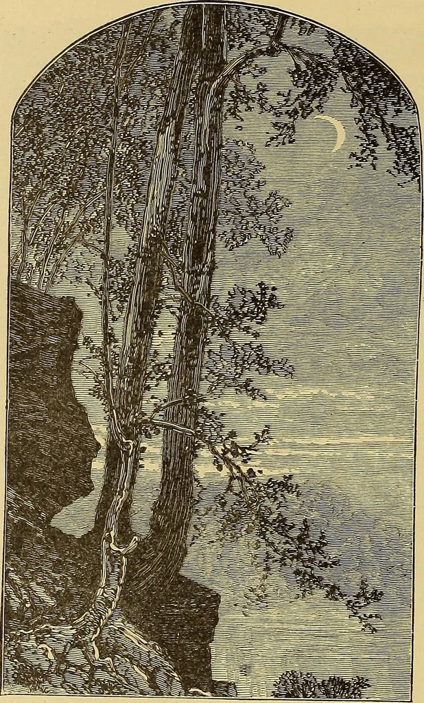 An illustration from American art and American art collections; essays on artistic subjects, 1889, leaf 517