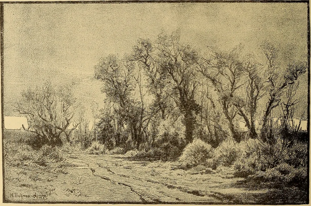 An illustration from American art and American art collections; essays on artistic subjects, 1889, leaf 531