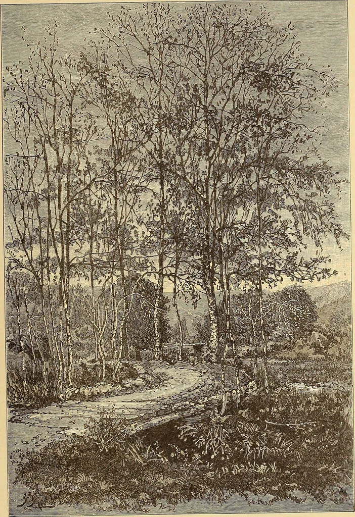 An illustration from American art and American art collections; essays on artistic subjects, 1889, leaf 532