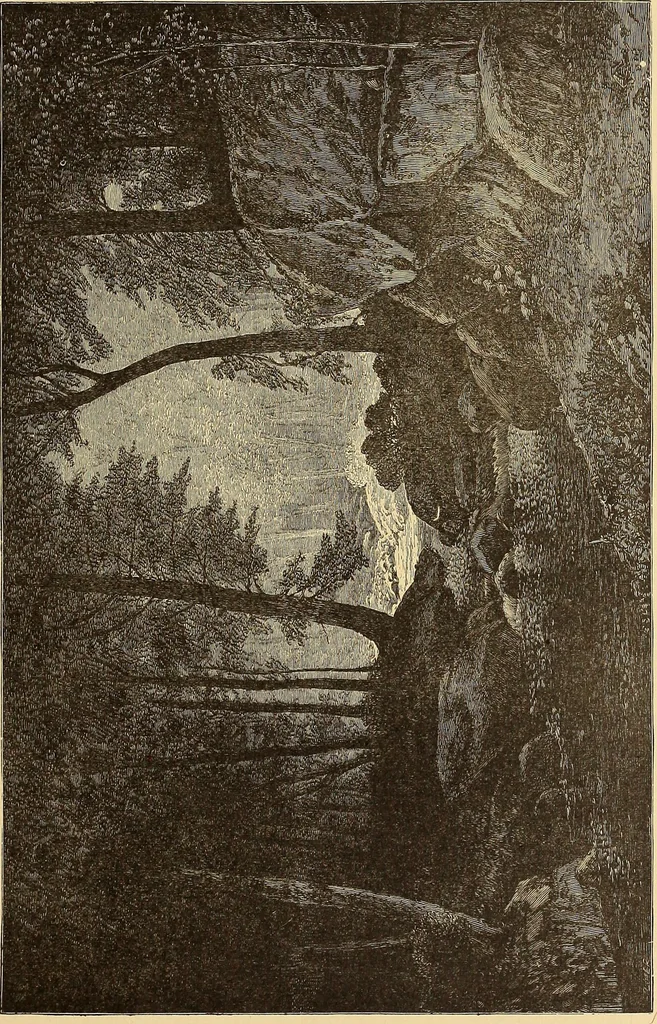 An illustration from American art and American art collections; essays on artistic subjects, 1889, leaf 566