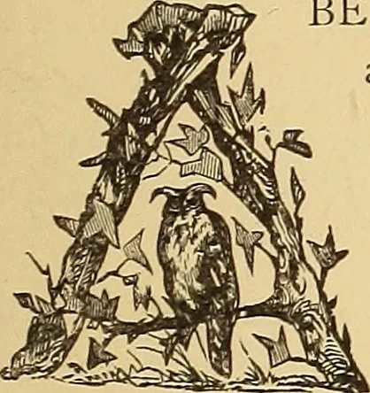 An illustration from American art and American art collections; essays on artistic subjects, 1889, leaf 568