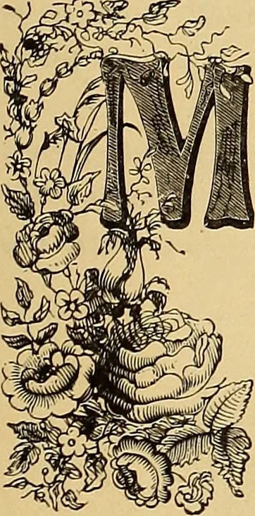 An illustration from American art and American art collections; essays on artistic subjects, 1889, leaf 80