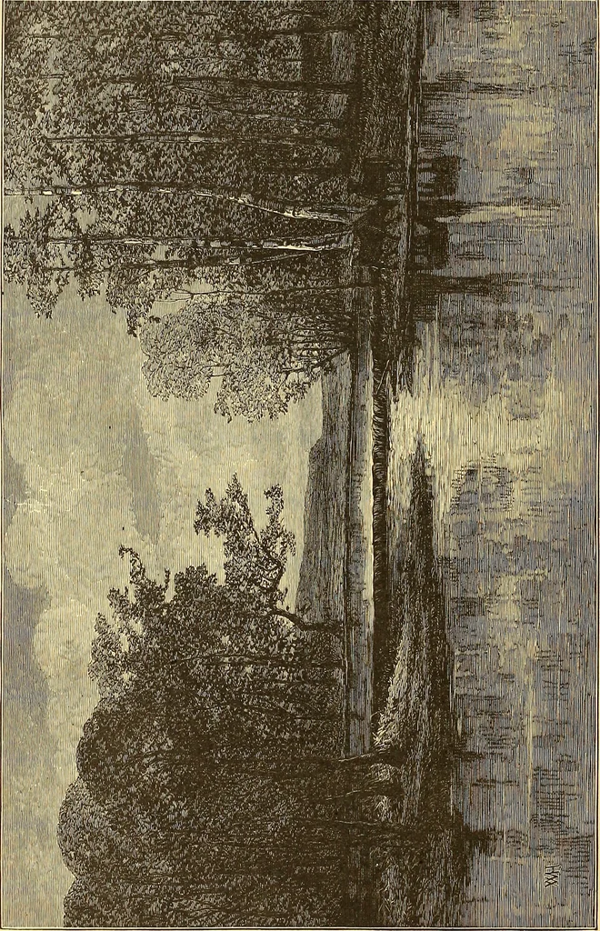 An illustration from American art and American art collections; essays on artistic subjects, 1889, leaf 107