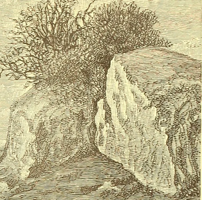 An illustration from American art and American art collections; essays on artistic subjects, 1889, leaf 112